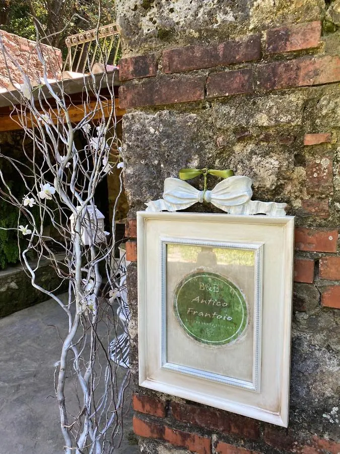 Guest House Antico Frantoio Pietrasanta Affittacamere 2*,