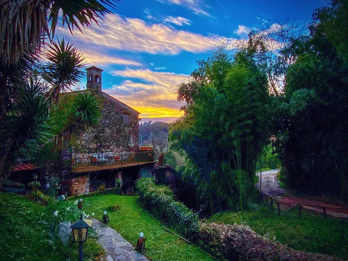 B&B Antico Frantoio Pietrasanta Italia