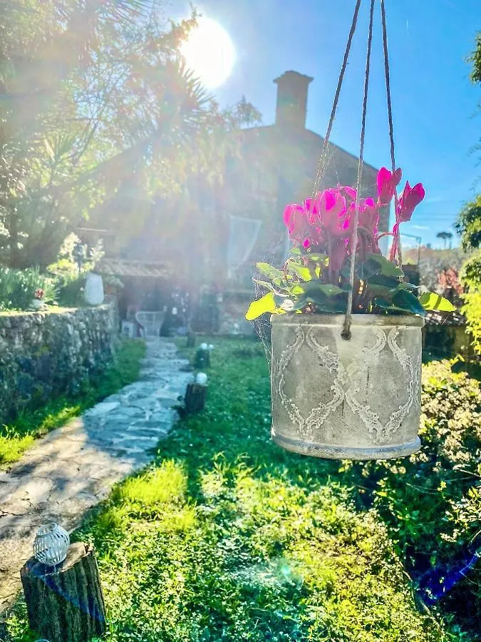 B&B Antico Frantoio Pietrasanta 2*,  Italia