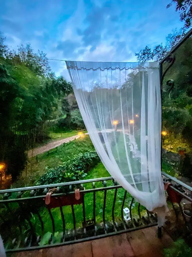 ** Affittacamere B&B Antico Frantoio Pietrasanta Italia