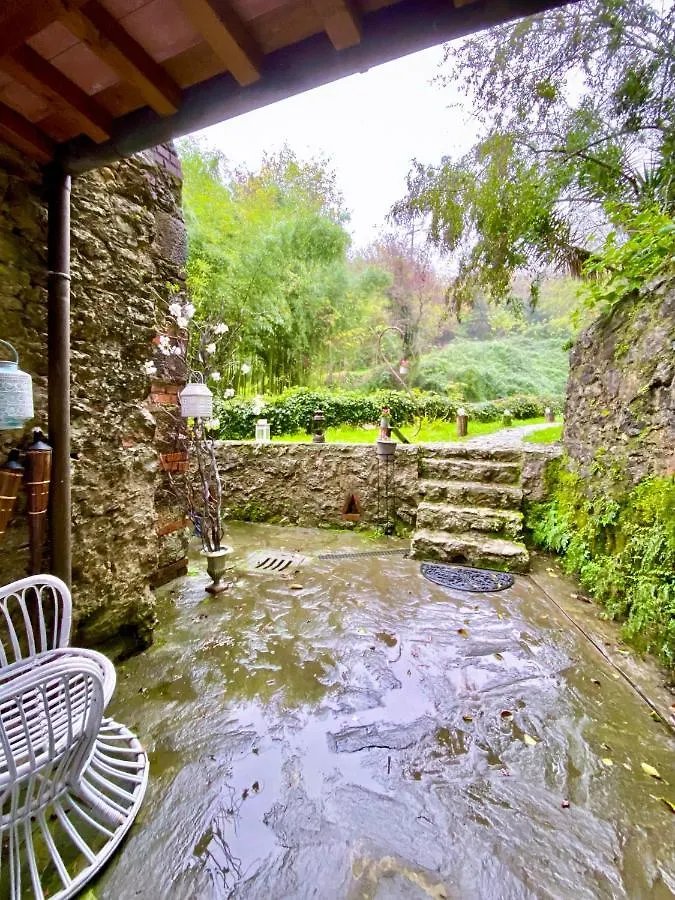 Affittacamere B&B Antico Frantoio Pietrasanta
