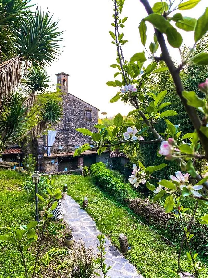 Guest House Antico Frantoio Pietrasanta Affittacamere