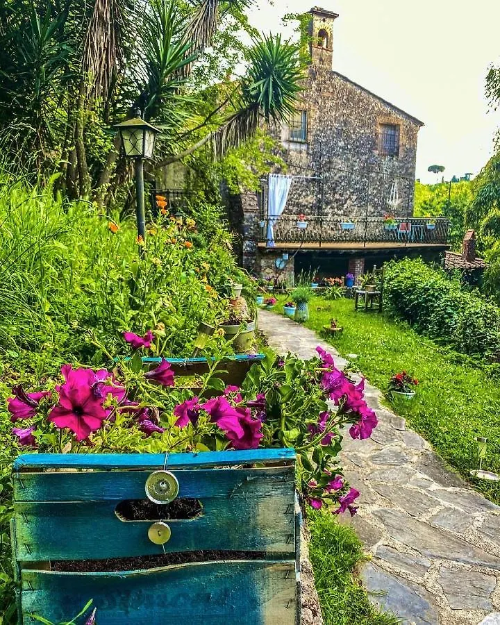 B&B Antico Frantoio Pietrasanta Affittacamere