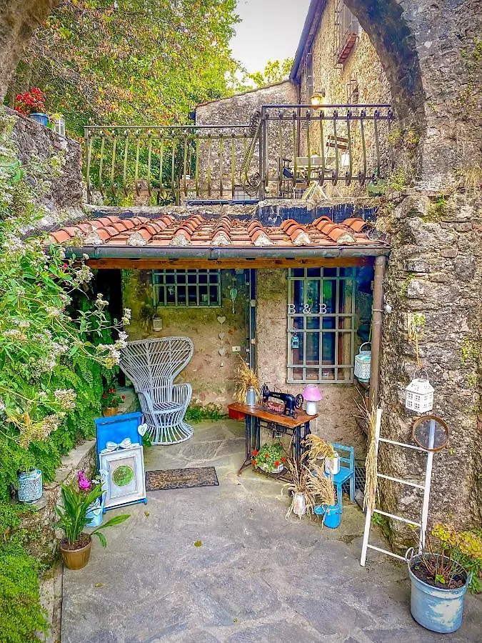 B&B Antico Frantoio Pietrasanta Affittacamere