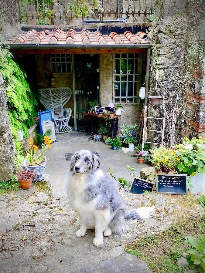 ** Affittacamere B&B Antico Frantoio Pietrasanta Italia