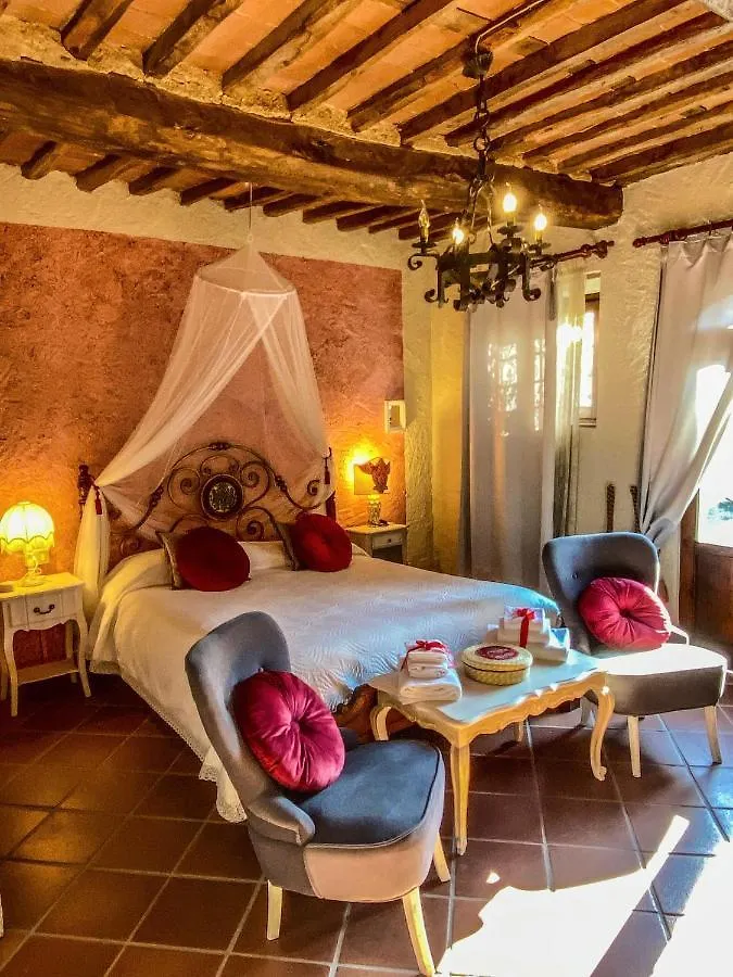B&B Antico Frantoio Pietrasanta Affittacamere