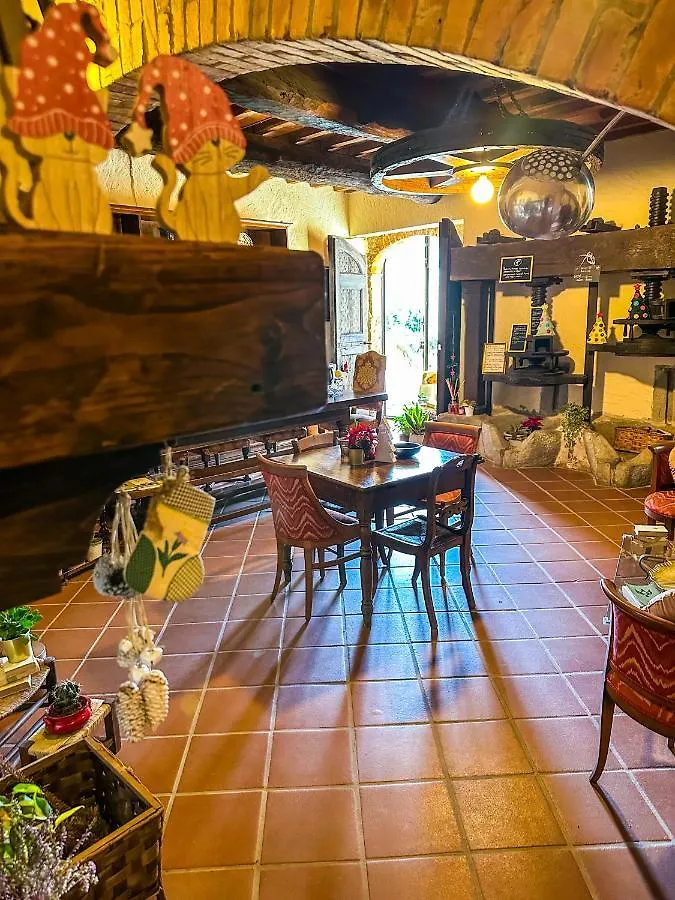 Affittacamere B&B Antico Frantoio Pietrasanta
