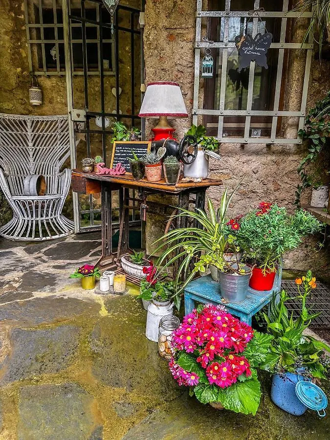 ** Affittacamere B&B Antico Frantoio Pietrasanta Italia