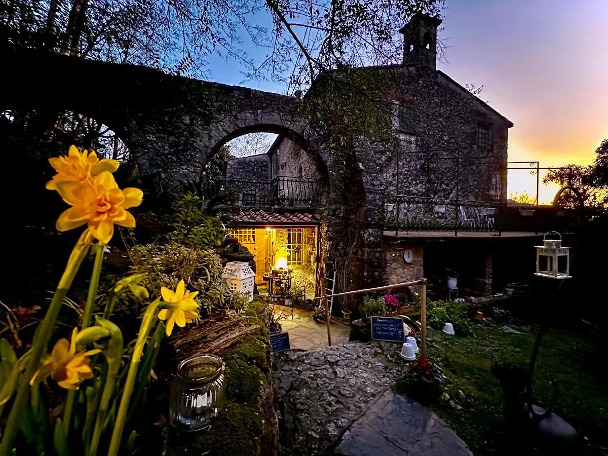 Affittacamere B&B Antico Frantoio Pietrasanta