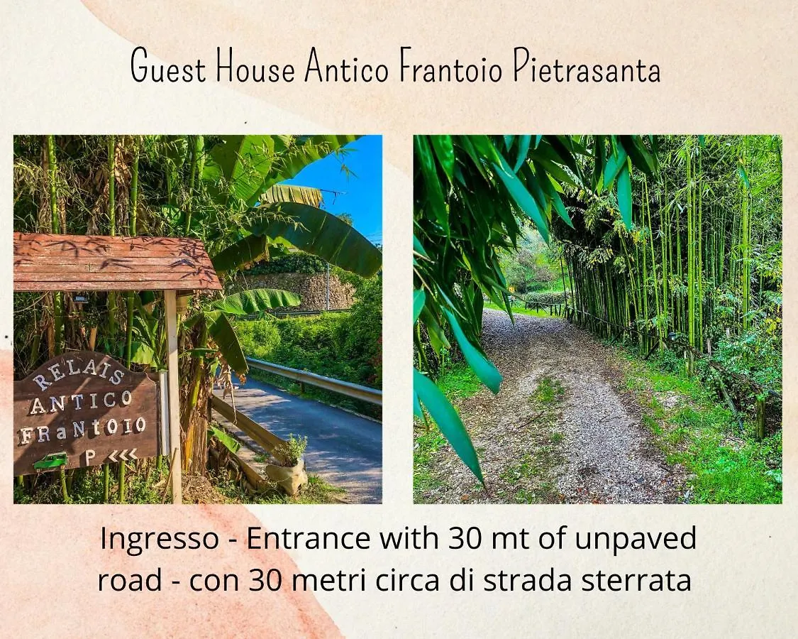 B&B Antico Frantoio Pietrasanta Affittacamere
