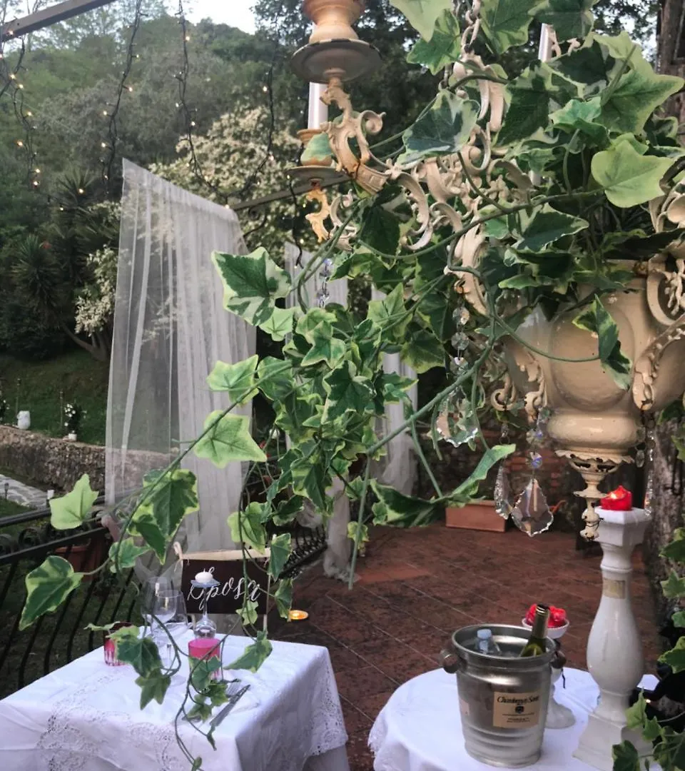 Affittacamere B&B Antico Frantoio Pietrasanta